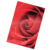 Funda de Enmicado - Tamaño Fotografia, 3 mil, 25 piezas__Photo red 2 LF.png